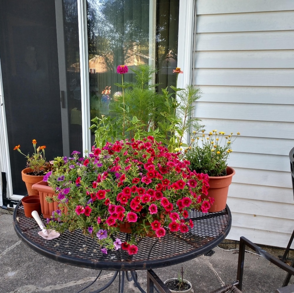 Meet your Posher, Karen